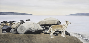  Dog on a Rocky Shore 