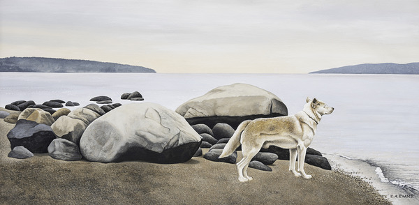  Dog on a Rocky Shore  Print