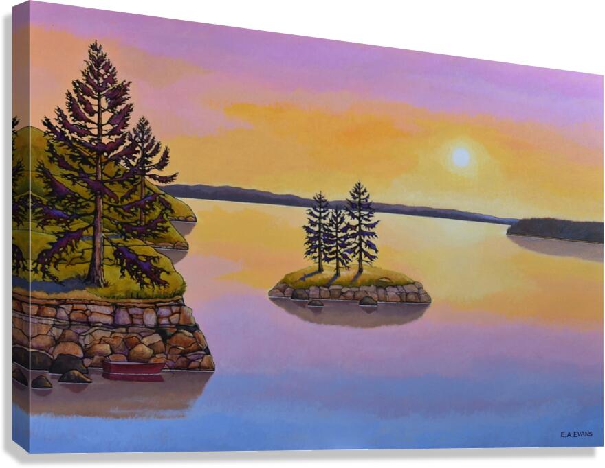 Late Afternoon Discovery  Canvas Print