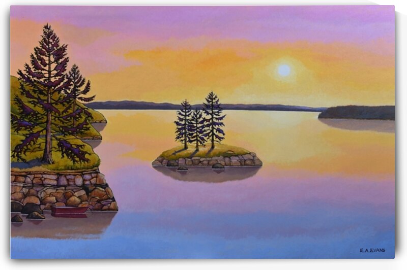 Late Afternoon Discovery  by Elizabeth A Evans