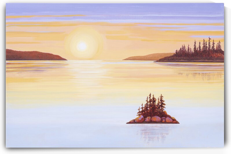 Morning Glory by Elizabeth A Evans