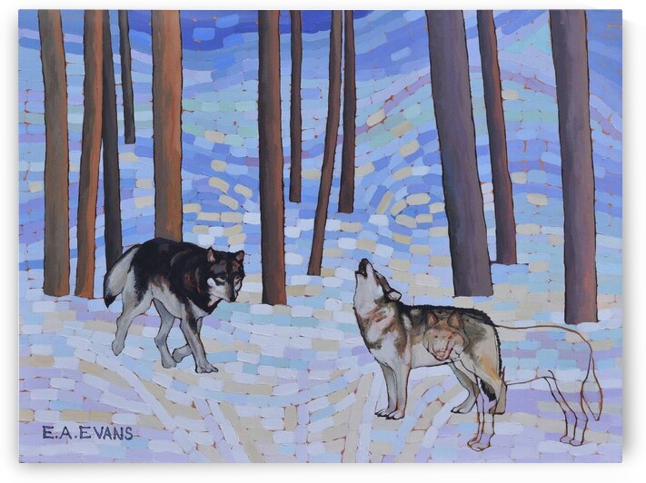 The Cull  by Elizabeth A Evans