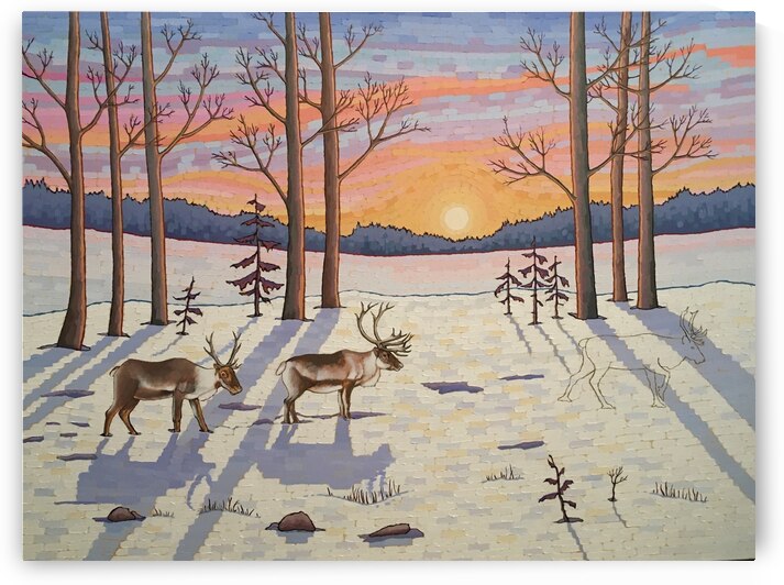 The Last Migration by Elizabeth A Evans