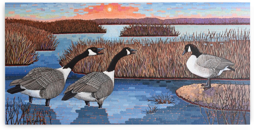 The intruder by Elizabeth A Evans