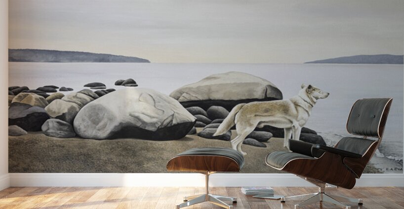  Dog on a Rocky Shore  Wall Murals