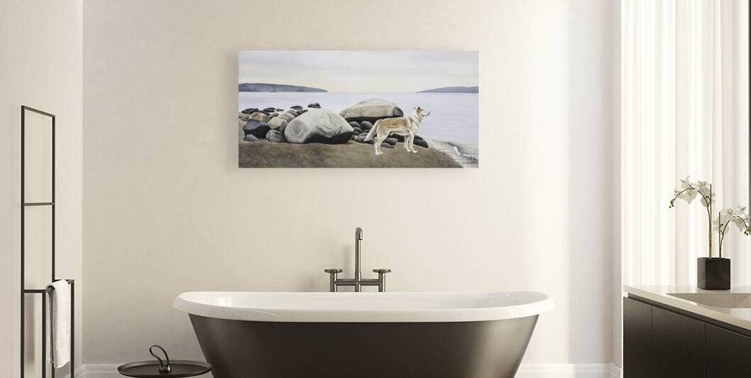  Dog on a Rocky Shore  by Elizabeth A Evans